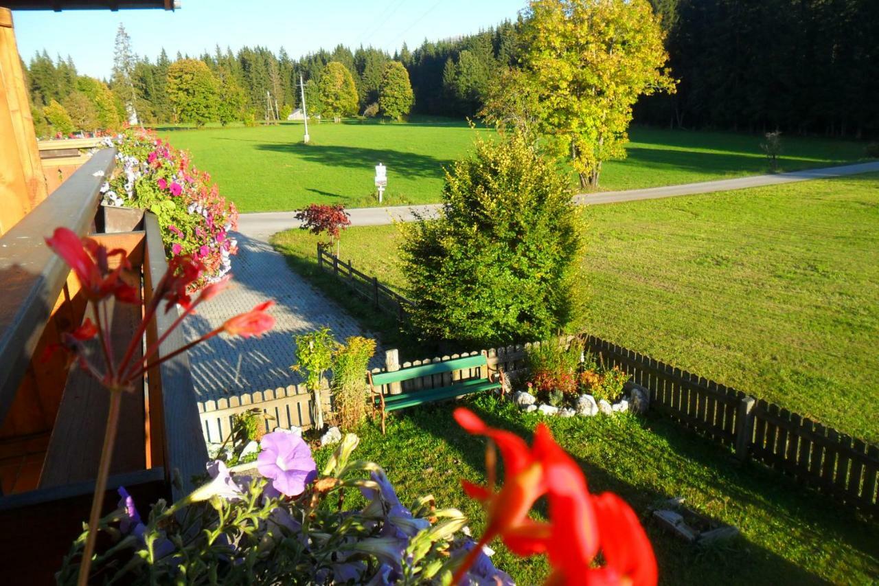 Appartement Haus Ferienglueck à Ramsau am Dachstein Extérieur photo