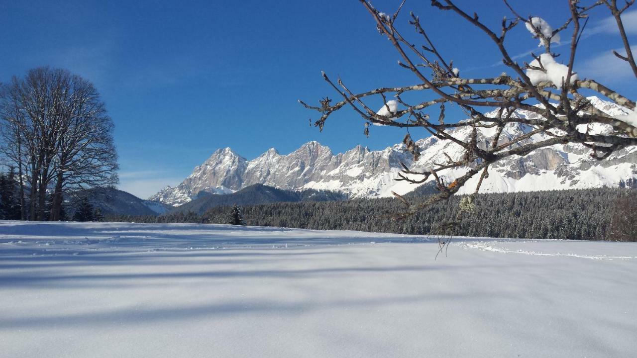 Appartement Haus Ferienglueck à Ramsau am Dachstein Extérieur photo