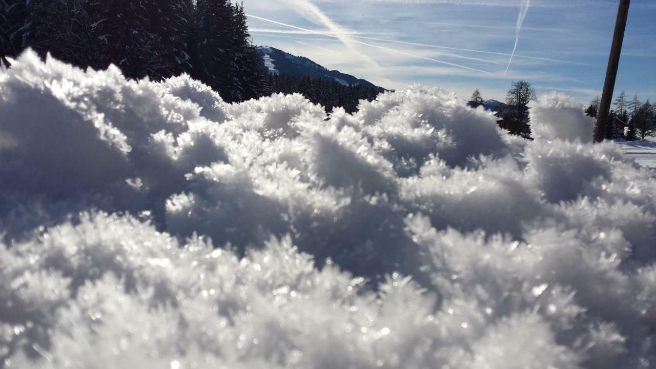 Appartement Haus Ferienglueck à Ramsau am Dachstein Extérieur photo
